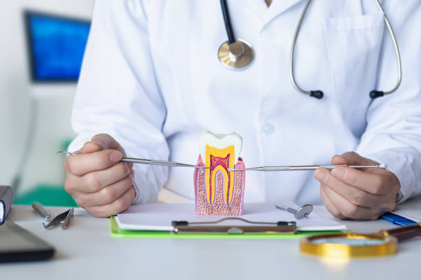 Best Emergency Dental Care for Trauma or Injury in Belding, MI